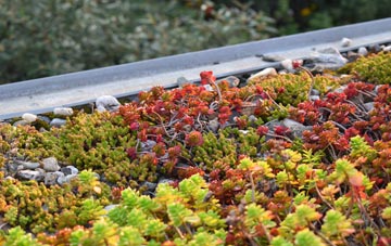 the cost of Maxted Street green roof installation