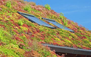 Maxted Street living roof systems